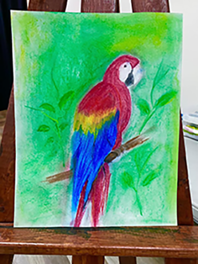 parrot adult artwork